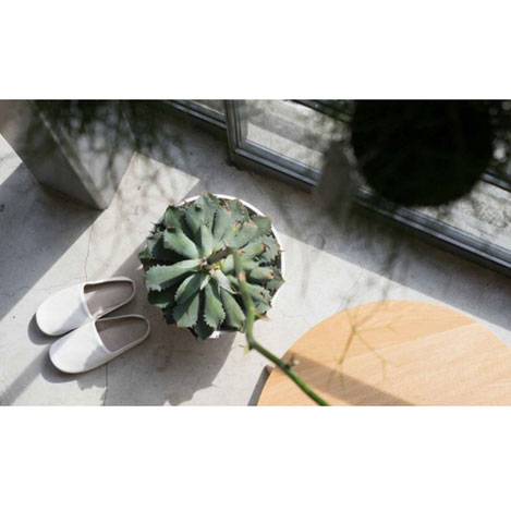 おすすめのルームシューズが登場！