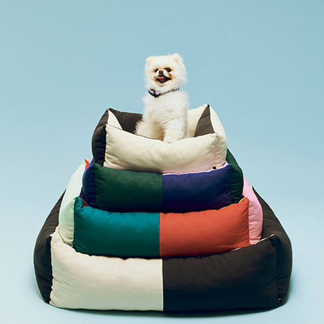 愛犬と日常を楽しむ！ カラフルな「HAY」のドッグシリーズの新作をチェック