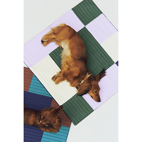 愛犬との毎日をもっと楽しく。こだわりデザインのドッグアイテム