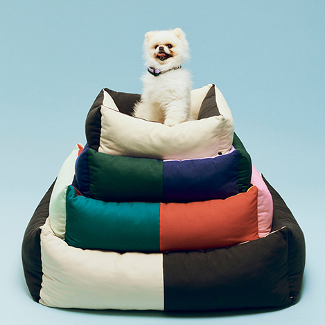 エディター厳選！ 「冬ごもりアイテム」をセレクト