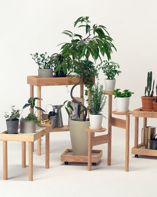インテリアグリーンのある暮らし。植物を素敵に飾る３つのアイデア