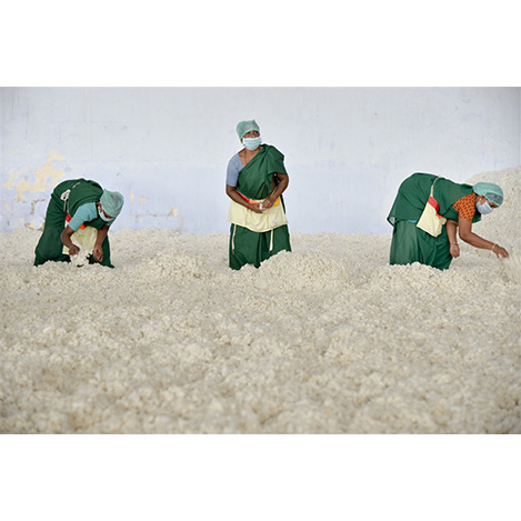 「コンタミ」ってなに? エシカルな視点で考える、「プリスティン」のものづくり