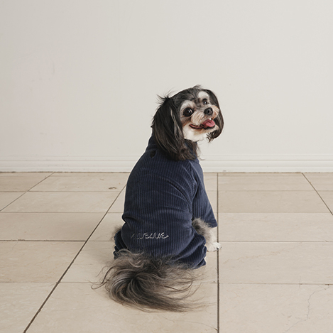 NEWアイテム、ドッグウェアが初登場!