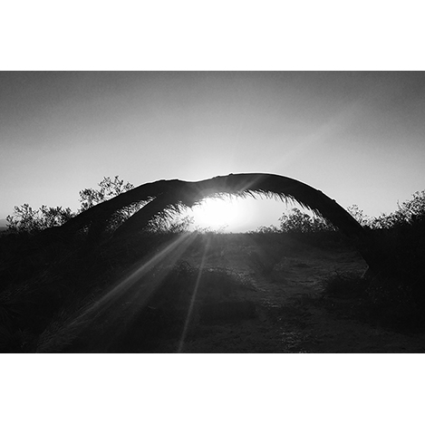 ネイティブアメリカンのお守りを現代的に。「エリッカ ニコラス ビゲイ」のモダンなインディアンジュエリー